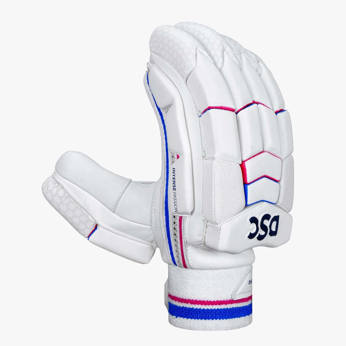 DSC Intense Passion Cricket Batting Gloves