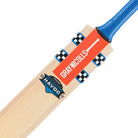 Gray-Nicolls Havoc 1.0 Power junior cricket bat blade showing extended sweet spot